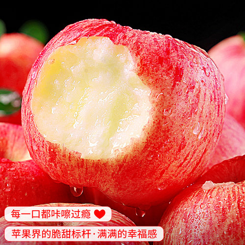 正宗山东烟台红富士苹果新鲜水果圣诞平安果冰糖心栖霞丑平果包邮 - 图0