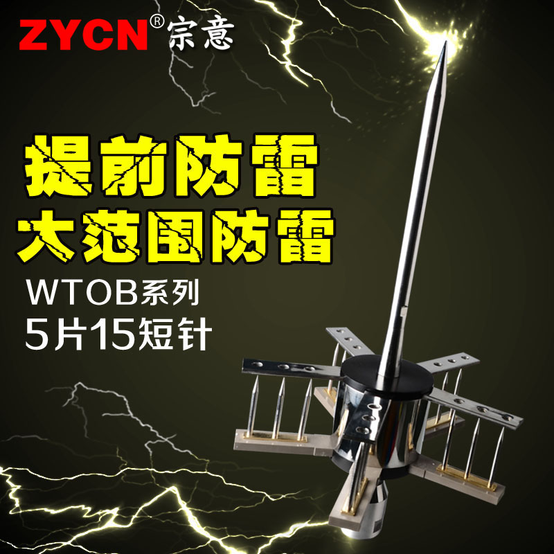 别墅屋顶避雷针家用 5.3不锈钢避雷针接闪器 防雷针 工程户外室外 - 图0