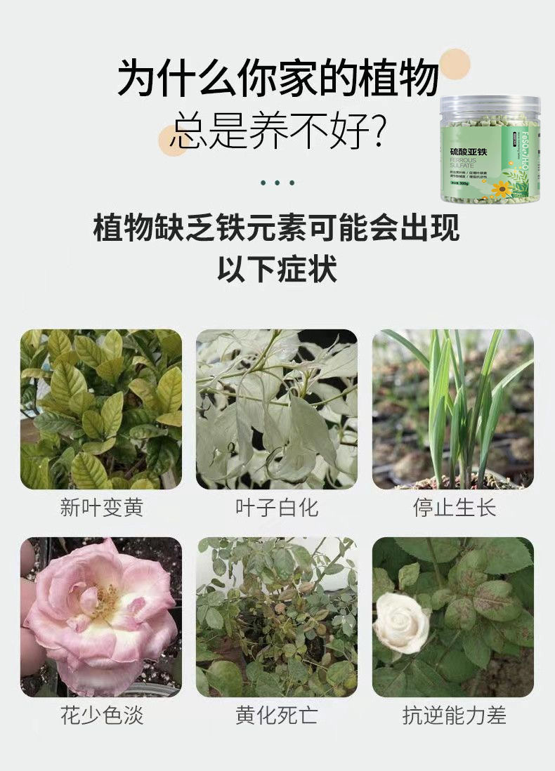 硫酸亚铁花肥料喜酸性月季花栀子花家用盆栽植物防黄叶专用水溶肥 - 图0