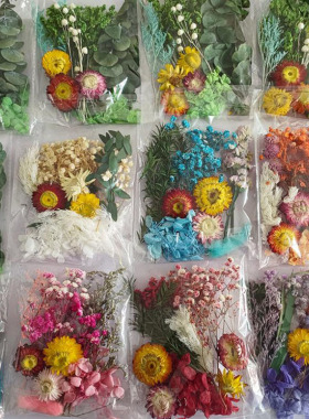 永生花干花材料包DIY相框贴画团扇浮游 团建活动儿童花艺课花材包