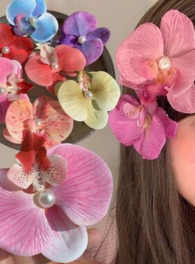 Phalaenopsis Flower Hair Clip Simulated Floral French Elegan
