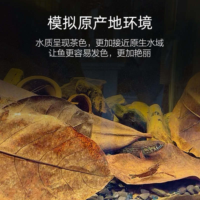 榄仁叶鱼缸懒人降ph值降低水族降酸调节剂乌龟酸斗鱼叶调节橄榄叶,淘宝优惠券,粉丝福利购,淘宝优惠卷