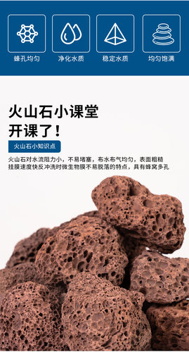 鱼缸滤材火山石滤材锦鲤池过滤材料鱼池滤材天然火山岩造景石 - 图0