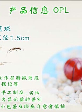 diy微景观可爱风摄影小摆件特价