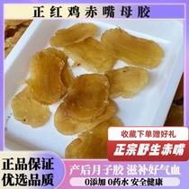 Authentic 24 heads Bengaluru red chicken baremouth Mother fish gum Deep-sea Flower Gum Dry Goods Pregnant pregnant woman to be nourished by the moon