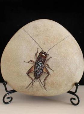 花鸟鱼虫石头画手工绘画桌面摆件装饰昆虫螽斯蟋蟀天牛创意小礼品