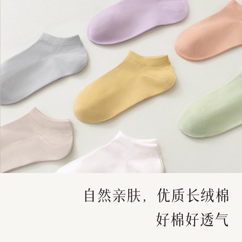 袜子女船袜女夏款网眼透气纯色棉袜防臭无骨吸汗抗菌防臭浅口短袜
