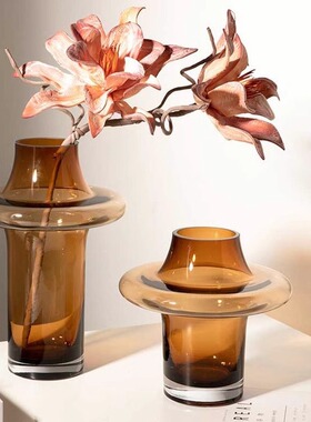 SoftHome北欧中古玻璃花瓶高级感艺术客厅水养鲜花插花器法式家居