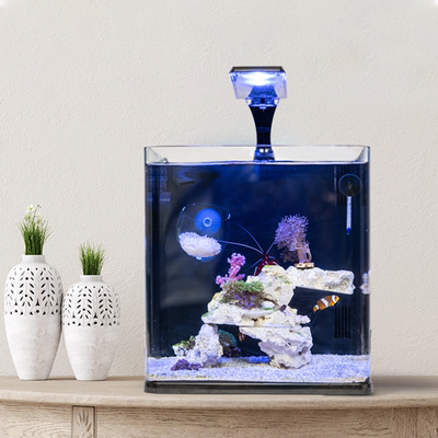 桌面一体式循环流水缸蛋白分离器小型迷你创意办公家用喜高海水缸 虎窝淘