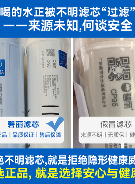 原装正品碧丽滤芯RO膜PP棉活性炭