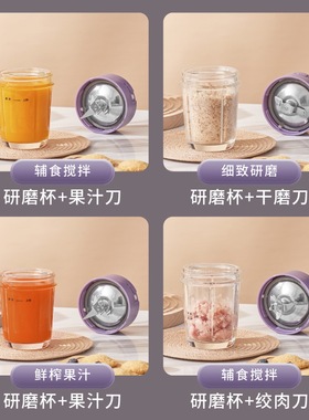 志高多功能婴幼儿儿专用辅食机
