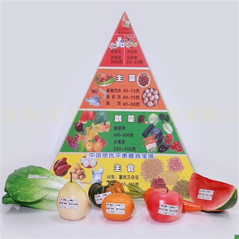 2022仿真食品中国居民均衡营C养膳食宝塔模型新版营养食物模型 - 图1