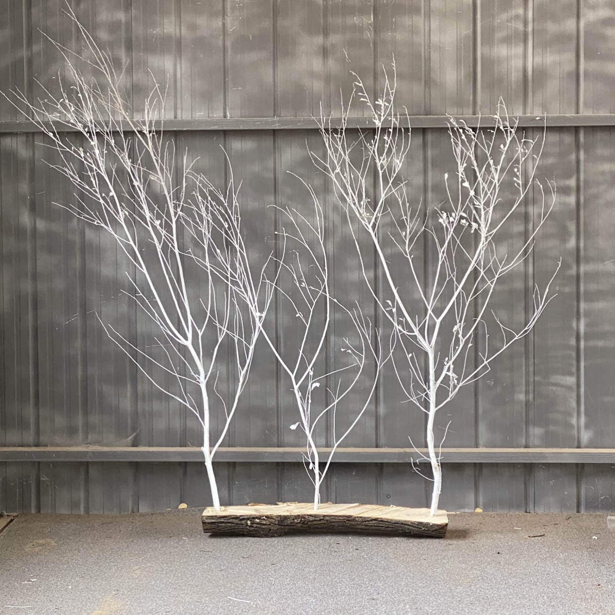 原木树枝干树枝 树枝造景 室内造型树枝枯树枝装饰 去皮树枝 橱窗 - 图1