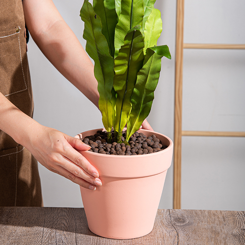 莫兰迪淡粉透气绿植通用花盆简约ins多肉植物红陶盆器室内带托盘