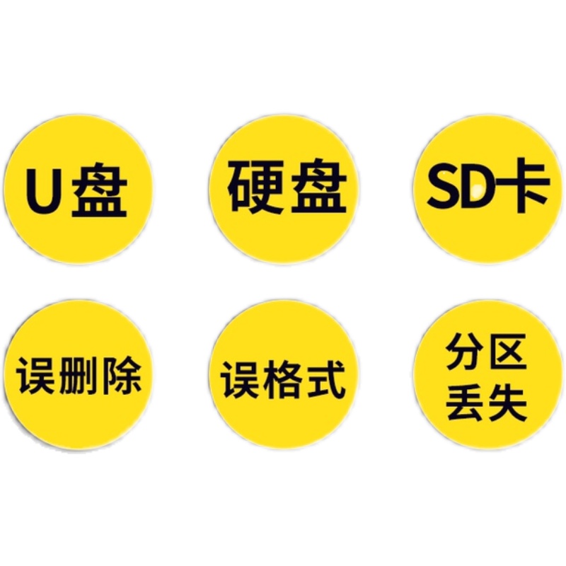 电脑移动硬盘数据恢复维修服务U盘内存sd卡照片视频文件修复软件 - 图1