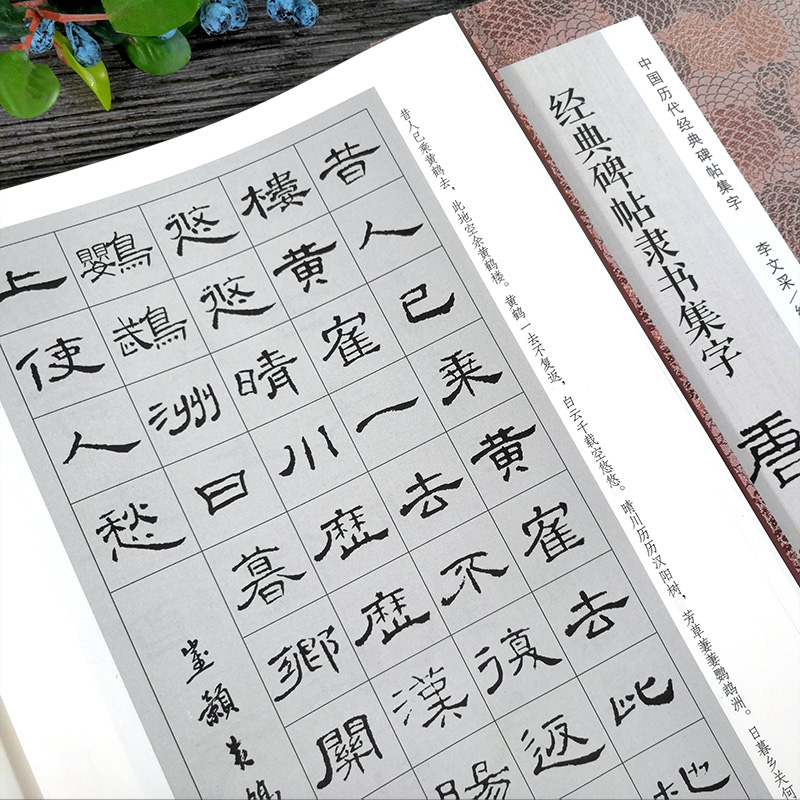 经典碑帖隶书集字唐诗一百首 收录古代经典隶书碑帖集字古诗词毛笔书法作品集临摹教程 汉隶书字帖曹全碑乙瑛碑张迁碑隶书集字古诗 - 图2