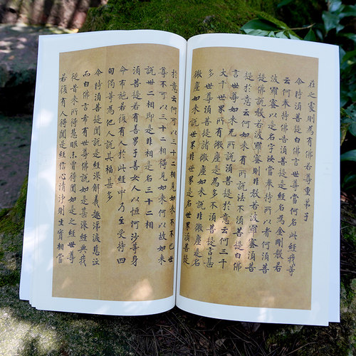 金刚经敦煌写本 中国碑帖集珍 精选历代名碑名帖原色精印原大呈现繁体释文临习要点 楷书毛笔书法字帖书法爱好者临摹鉴赏正版书籍 - 图2