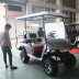 4 chỗ, 6 chỗ, 8 chỗ, xe tải nhỏ, taxi, mô hình off-road, SUV, xe tham quan, xe tiếp tân điện, xe golf - Xe đạp điện xe điện gấp gọn Xe đạp điện