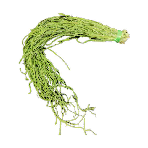 25年新货云南无叶贡菜苔干菜农家特产脱水蔬菜500g包邮 - 图3