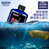 Bailinmei Biotechnology Черная вода аквариум за следующий