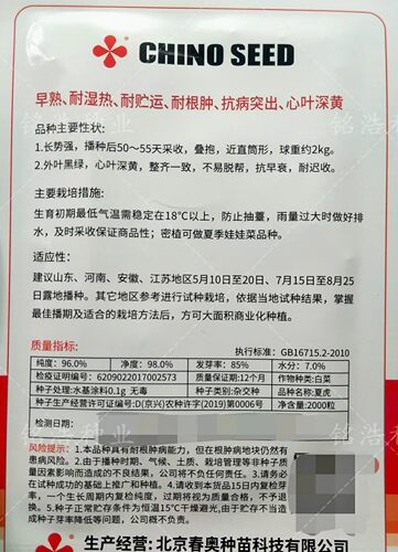 夏秋季播种大白菜种子籽耐热外叶绿黄心叠抱早熟抗病高产基地夏虎 - 图0