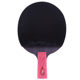 Double Happiness DHS Professional Star Diamond Table Tennis Racket Single Shot All-Purpose Pen-hold Cyclone D01-S Crimson With Case