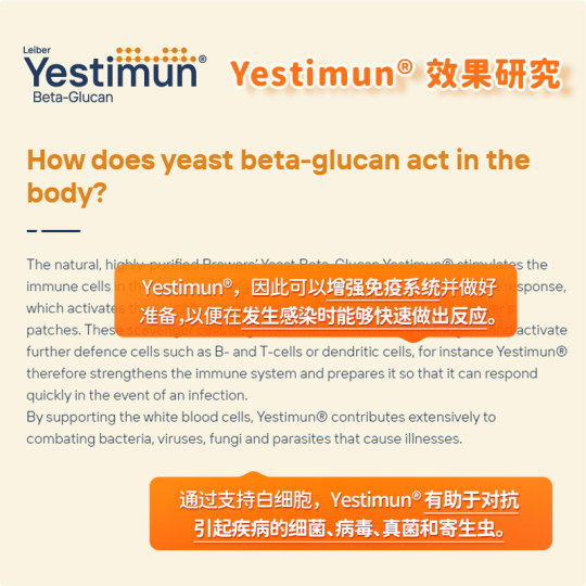 艾瑞可儿童复合维生素多维vc补锌抵抗力宝宝30种营养婴幼儿免疫力