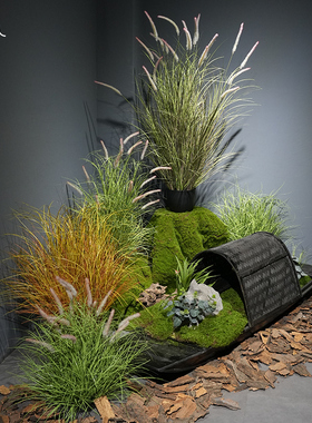 八度空间仿真绿植狗尾巴草
