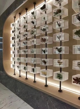 八度空间贝壳蝴蝶昆虫植物标本照片墙售楼部样板间教育展示装置