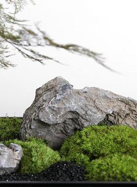 【八度空间】绿植微景观餐厅会议室茶室酒店民宿枯山水盆栽摆件