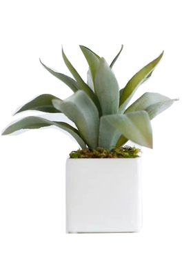 八度空间书房阳台园艺主题标本装饰画现代简约样板间摆件饰品软装