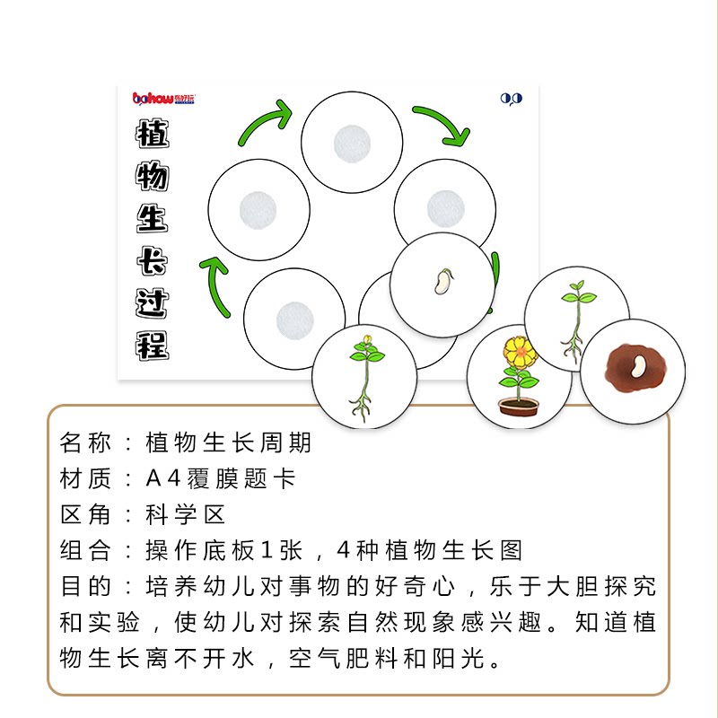 幼儿园科学区逻辑思维训练动植物成长周期观察生长过程早教玩具 布好玩教具 淘优券
