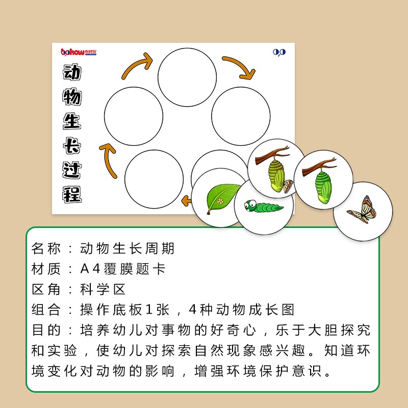 幼儿园科学区逻辑思维训练动植物成长周期观察生长过程早教玩具 布好玩教具 淘优券