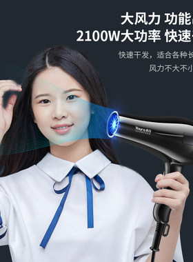 永日电吹风机家用发型师发廊理发店专用护发风力大功率冷热风吹筒