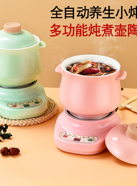 全自动快炖电炖锅小型煮粥煲汤锅