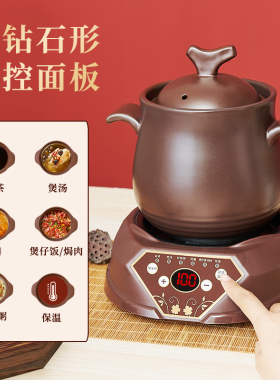 养生壶可煮米饭煮粥煲汤熬药炖锅