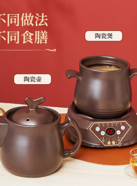 立优可煮米饭煮粥煲汤熬药电炖锅