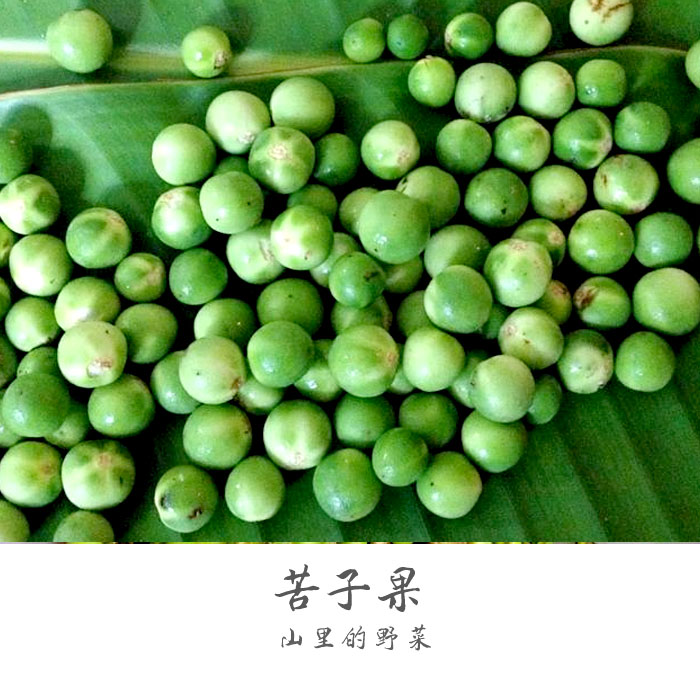 云南ye菜ye果苦子果傣味小苦果苦茄苦凉小圆茄青茄蘸料油炸1000g-图1