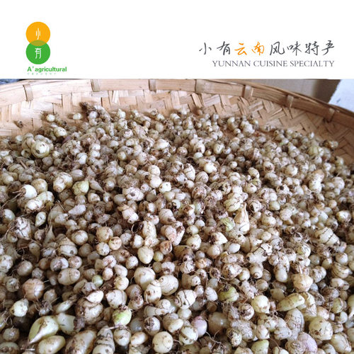 云南小白芨干圆白芨白及自然晒干深山非三叉种植白芨药材100g - 图2