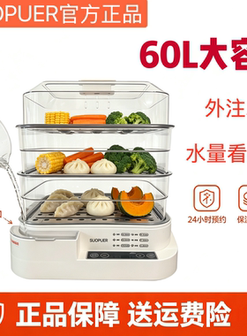 品牌电蒸锅可以煮火锅可以预约