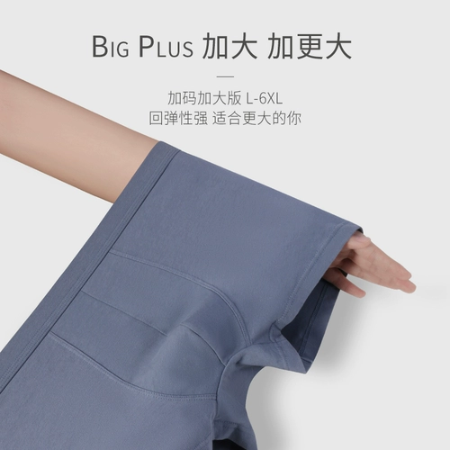 埃茉 Хлопковые трусы, тонкие штаны, большой размер
