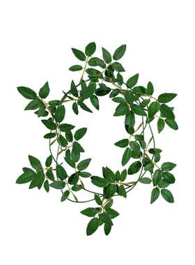 仿真植物尤加利婚庆家居装饰藤条