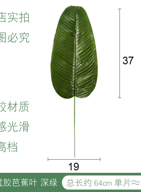 仿真绿植单片过胶芭蕉叶厂家直销