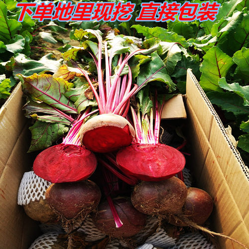 2026欧洲品种有机肥新鲜红甜菜根甜菜头紫蔬菜酵素农产品5斤包邮 - 图1