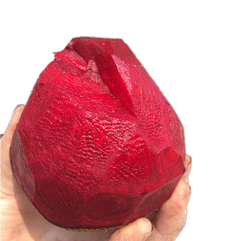 2025欧洲品种有机肥新鲜红甜菜根甜菜头紫蔬菜酵素农产品5斤包邮 - 图3