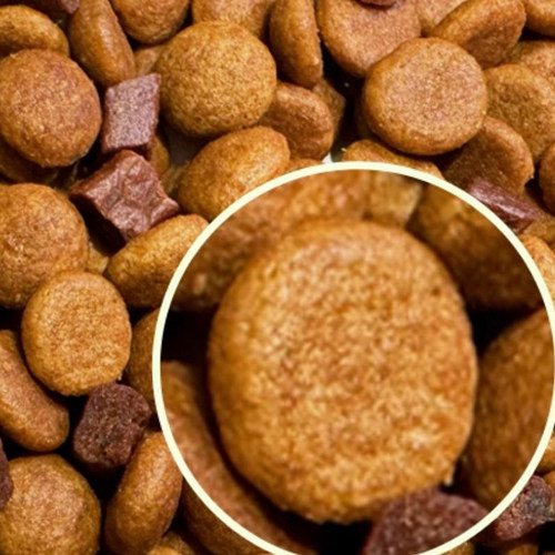 比瑞吉俱乐部狗粮牛肉双拼通用型优选成犬粮金毛比熊柯基泰迪10kg - 图0