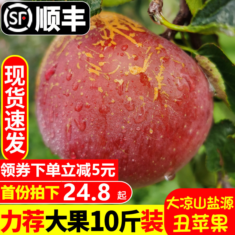 应季凉山丑苹果云南昭通糖心丑苹果脆皮特级正品摘好吃的产地鲜果