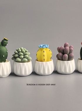 无聊瞭！摆几棵盆栽仙人