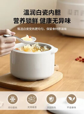 德国电炖锅家用陶瓷隔水炖宝宝辅食智能预约煲汤锅养生电炖盅