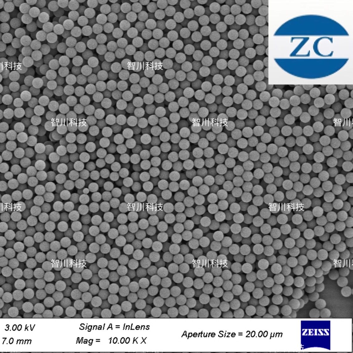 单分散聚苯乙烯微球粉末  PS微米/纳米微球 微塑料 实验试剂,淘宝优惠券,粉丝福利购,淘宝优惠卷